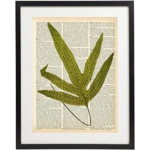 Fern Art Prints Juego de 4 piezas de arte botánico_2