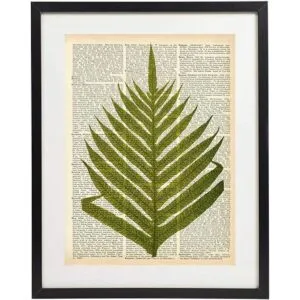Fern Art Prints Juego de 4 piezas de arte botánico_3