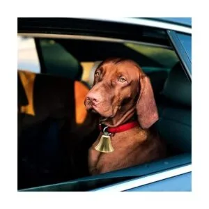 Paquete de 2 campanas colgantes de latón estilo vintage de_6