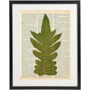 Fern Art Prints Juego de 4 piezas de arte botánico_5