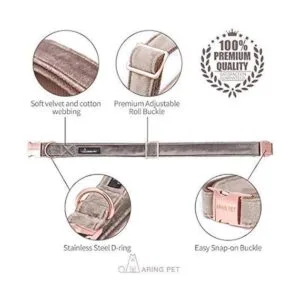 ARING PET collar y correa para perro kit de collar de_2