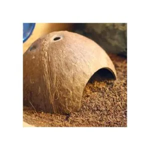 PIVBY Hidropajos de coco herradura de cangrejo natural_4