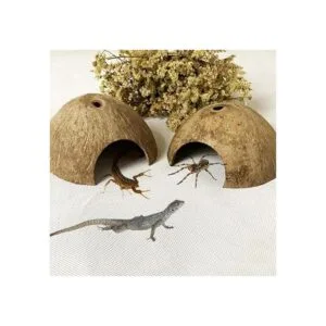 PIVBY Hidropajos de coco herradura de cangrejo natural_6