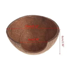 PIVBY Hidropajos de coco herradura de cangrejo natural_2