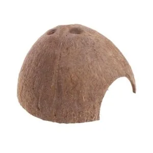 PIVBY Hidropajos de coco herradura de cangrejo natural_3