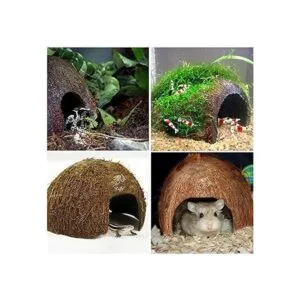 PIVBY Hidropajos de coco herradura de cangrejo natural_7