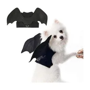 Rypet Disfraz de Halloween para mascotas para Halloween_1