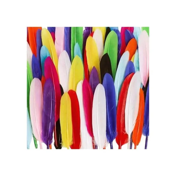 Coceca 240 plumas de ganso coloridas de 4 a 6 pulgadas_3