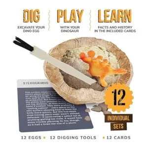 Kit de huevos de dinosaurio Abre 12 únicos huevos de_2