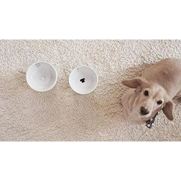 Necoichi Raised Dog Water Bowl_6