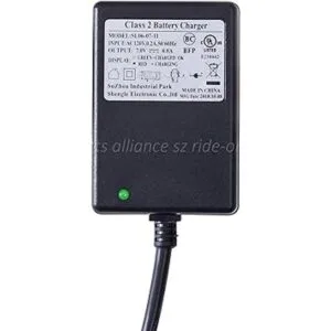 Cargador de coche para niños de 6 voltios cargador de_4