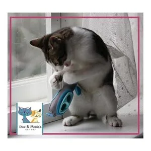 Doc Phoebes Indoor Hunting Cat Feeder_4