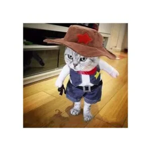 Meihejia Chaqueta de vaquero divertida para perros y_2