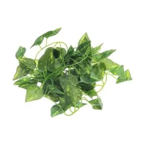 PINVNBY Hamaca de dragón barbudo con vides escaladores de_4