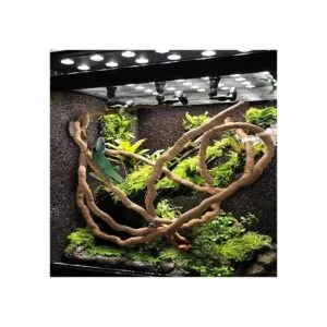 PINVNBY Hamaca de dragón barbudo con vides escaladores de_7