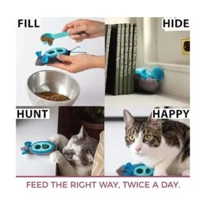 Doc Phoebes Indoor Hunting Cat Feeder_2