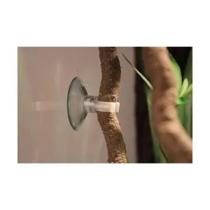 PINVNBY Hamaca de dragón barbudo con vides escaladores de_5