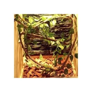 PINVNBY Hamaca de dragón barbudo con vides escaladores de_6