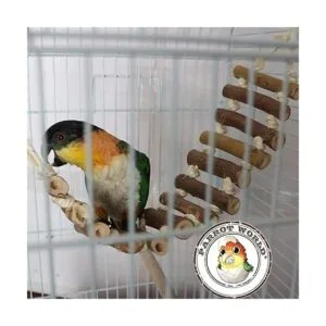 PIVBY Escalera de cuerda para pájaros juguete de puente_7