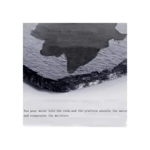 Tfwadmx Reptile Basking Platform Tortoise Feeding Dish_5