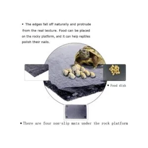 Tfwadmx Reptile Basking Platform Tortoise Feeding Dish_2