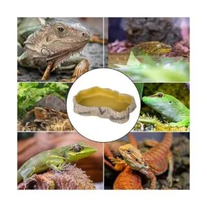 REPTIZOO Plato de comida para reptiles para terrario_6