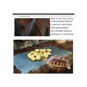 Tfwadmx Reptile Basking Platform Tortoise Feeding Dish_7