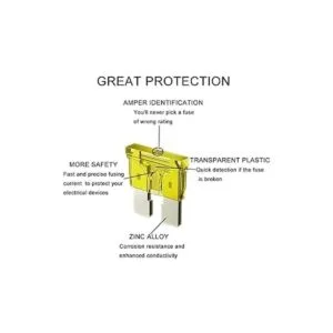 MuHize Juego de 220 fusibles de coche estándar y mini 2A_2