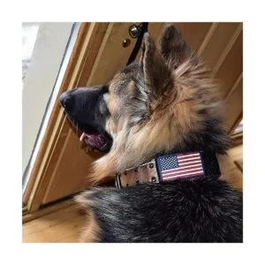 Collar para perro K9 estilo militar táctico 2.0 in de_5