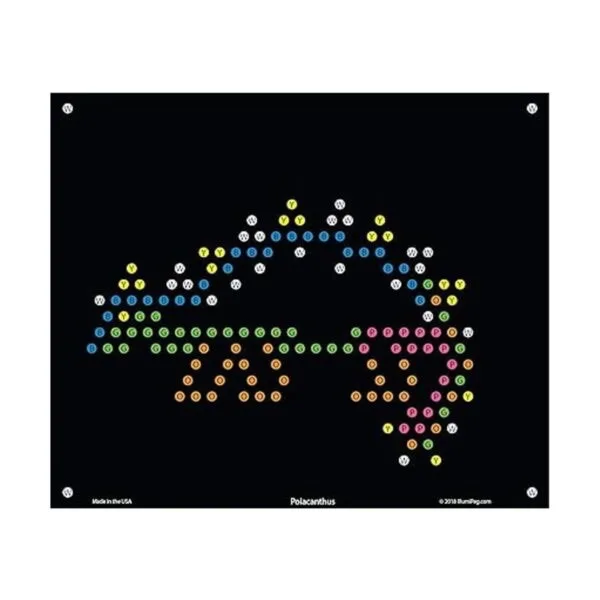 IllumiPeg Plantillas de repuesto de dinosaurios para Basic_3