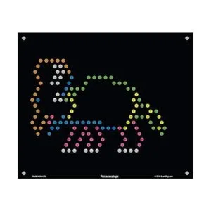IllumiPeg Plantillas de repuesto de dinosaurios para Basic_5