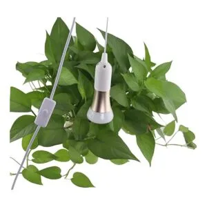 Rextin 2 llaves de luz LED E26E27 cable de extensión de_3