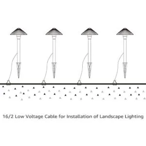LEONLITE 100ft 162 Cable de iluminación de bajo voltaje_4