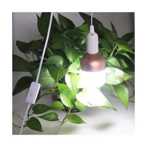 Rextin 2 llaves de luz LED E26E27 cable de extensión de_4