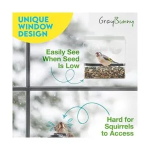 Comedero para pájaros de ventana transparente comedero_3