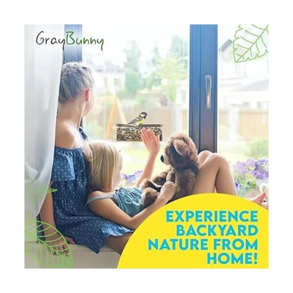 Comedero para pájaros de ventana transparente comedero_2