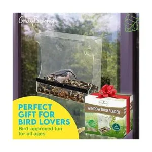 Comedero para pájaros de ventana transparente comedero_6