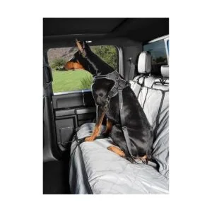 4Knines Cinturón de seguridad para perros_4