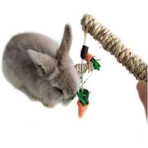Hamiledyi Bunny Fun Tree Rabbit Perfect Chew Bite Toys_4
