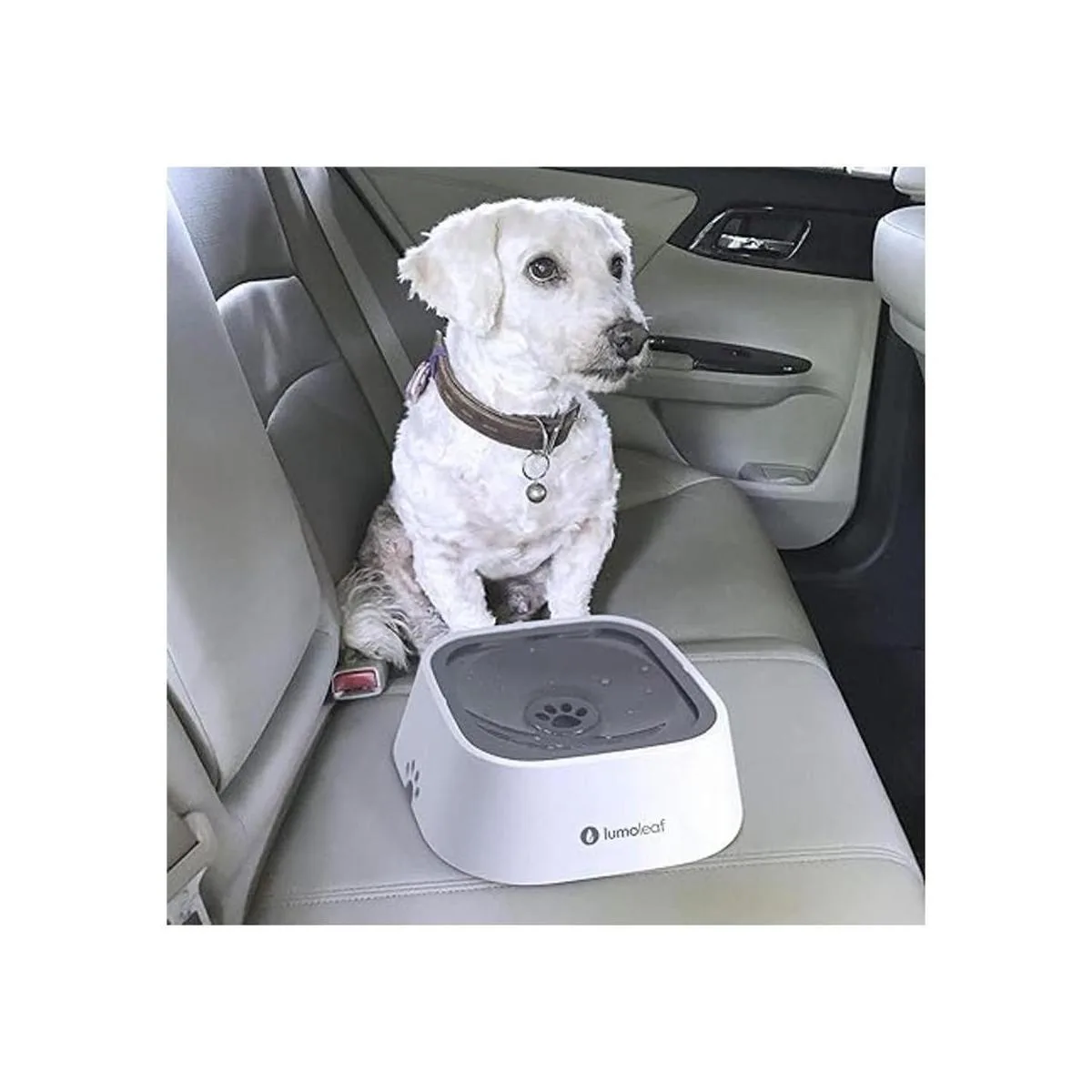 LumoLeaf Cuenco de agua para perros cuenco de agua para_5