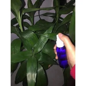20 piezas de rociadores de spray de plástico azul vacío_3