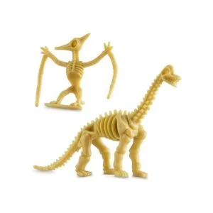 Bedwina Esqueleto fósil de dinosaurio 24 piezas figuras_5