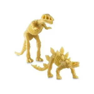 Bedwina Esqueleto fósil de dinosaurio 24 piezas figuras_6