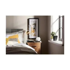 GE Lighting 36555 A15 Soft White 2_4