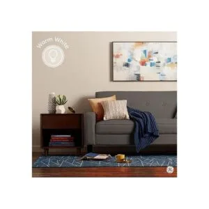 GE Lighting 36555 A15 Soft White 2_3