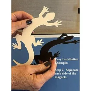 DCentral Imán para saltar delfines en agua multiusos de_7