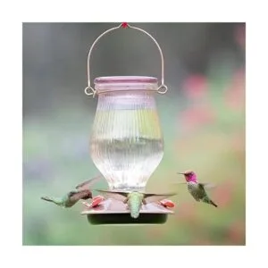 PerkyPet 91042 Alimentador de colibrí de vidrio de relleno_5