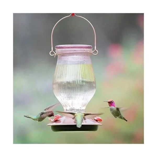 PerkyPet 91042 Alimentador de colibrí de vidrio de relleno_5
