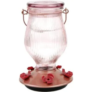 PerkyPet 91042 Alimentador de colibrí de vidrio de relleno_1