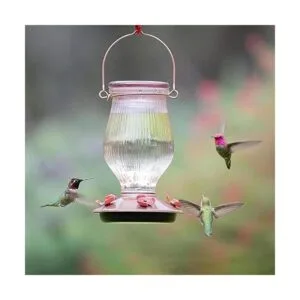 PerkyPet 91042 Alimentador de colibrí de vidrio de relleno_7